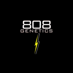 808 Genetics Seeds