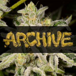 Archive Genetics Seeds