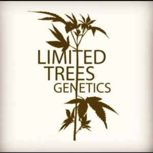 Limited Trees Genetic Seeds