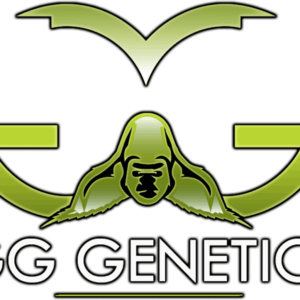 GG Genetics