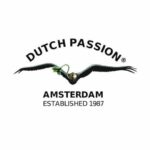 Order Orange Bud Dutch Passion