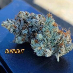 BUY BURNOUT #33 5.9% WASHER