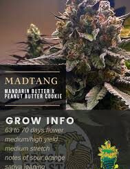 PURCHASE MANDARIN BUTTER 4.5-5.0% Washer CLONE SEEDS